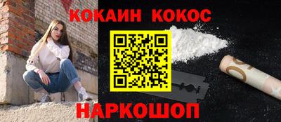 гашик Моздок