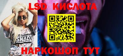 стафф Можга