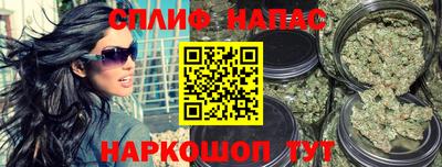 гашик Моздок
