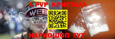 гашик Моздок