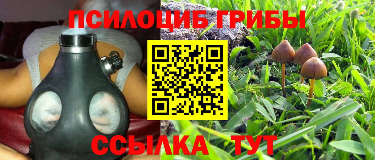 Псилоцибиновые грибы MAGIC MUSHROOMS  Псилоцибиновые грибы Psilocybine cubensis  Вход с VPN  Южно-Сахалинск 
