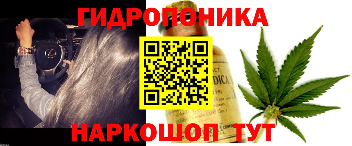 Марихуана сатива Южно-Сахалинск